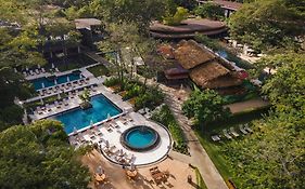 El Mangroove Papagayo, Autograph Collection